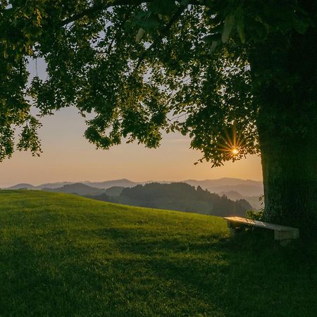Vegan Health Hotel Sonnenberg Glutenfrei Schwellbrunn Zewnętrze zdjęcie