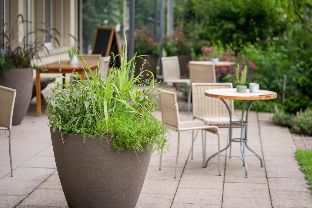 Vegan Health Hotel Sonnenberg Glutenfrei Schwellbrunn Zewnętrze zdjęcie