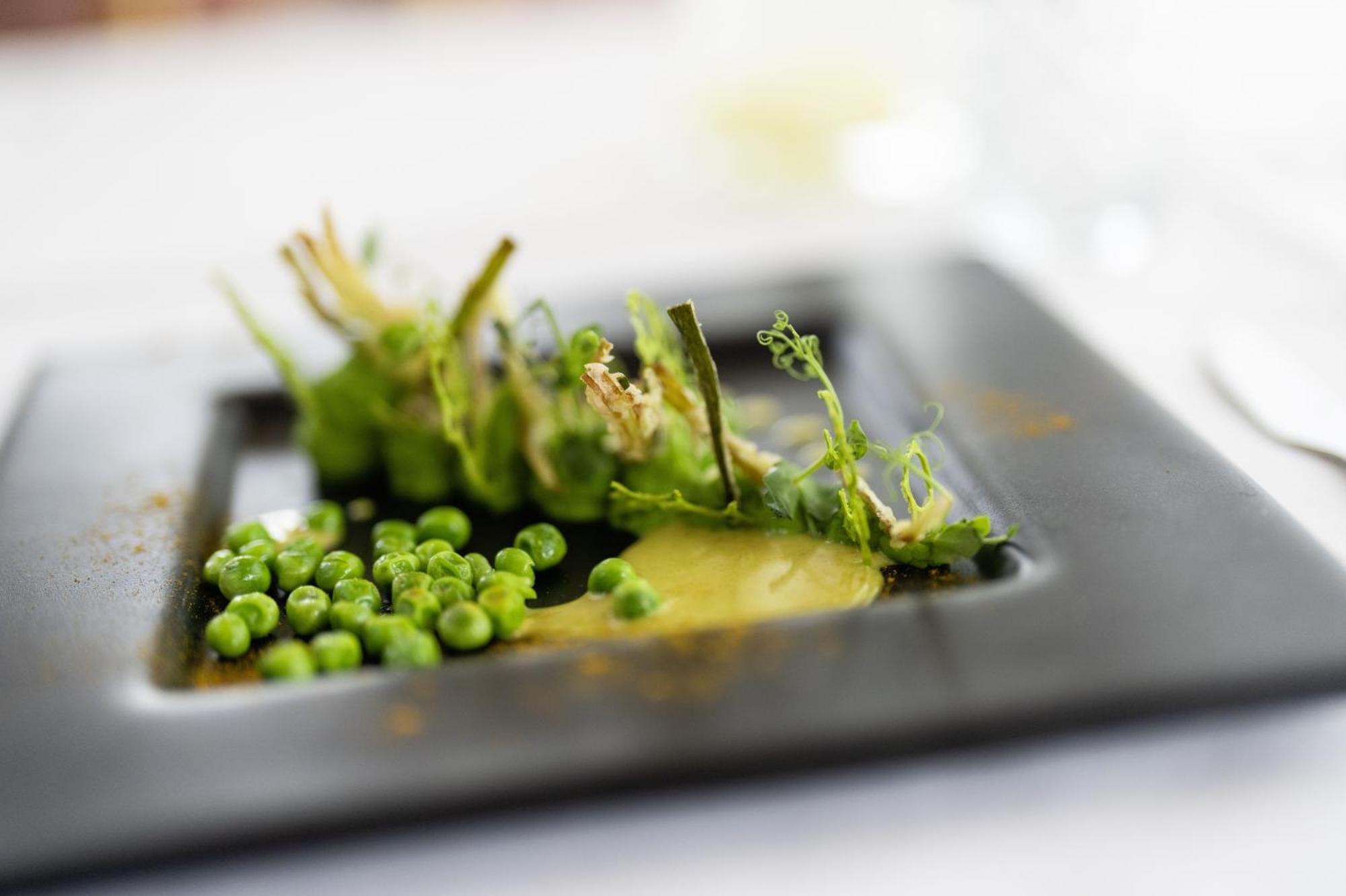 Vegan Health Hotel Sonnenberg Glutenfrei Schwellbrunn Zewnętrze zdjęcie